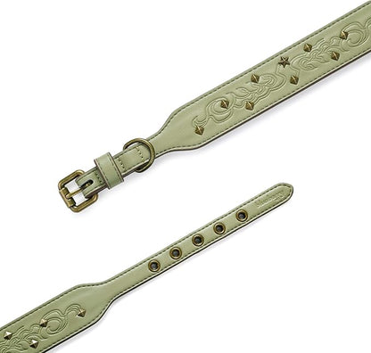 Blueberry Pet Premium Embossed Sage Green Glam Silver-Powered Freshness Microfiber Leather Dog Collar with Antique Brass Studs