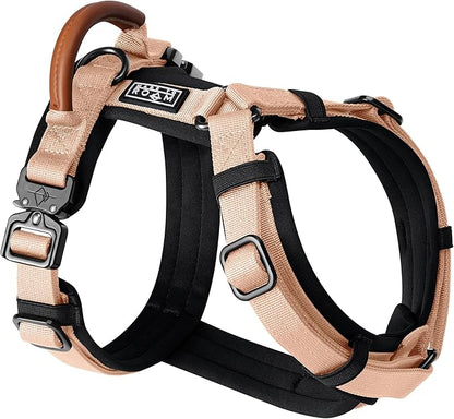 MADE TO ROAM Premium Explorer Harness - Y-Shaped Dog Harness with Adjustable Durable Nylon, Soft Padding, Metal Buckles and Leather Handle for Small, Medium, Large Dogs (Carolina Blooms, Size 7)
