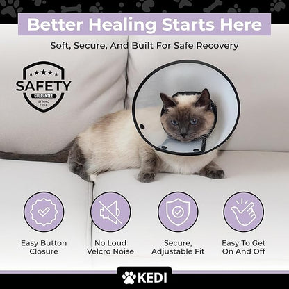 Cat Recovery Cone Kit Post Surgical Soft Pet Vest, Collar, and Non-Irritating Protection Cone for Cats - Comfortable Injury Care Solution (Black with White Paws, Medium)