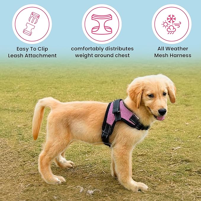 No Pull Reflective Adjustable Dog Harness with Handle- Comfortable Soft All Weather Mesh, Easy On Puppy Harness for Small Medium and Large Dogs (Pink) XX-Small