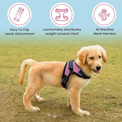 No Pull Reflective Adjustable Dog Harness with Handle- Comfortable Soft All Weather Mesh, Easy On Puppy Harness for Small Medium and Large Dogs (Pink) XX-Small