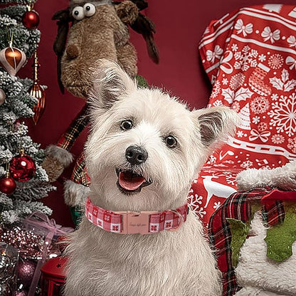 Unique style paws Dog Collar Metal Buckle Collar for Winter Christmas Red Papercut for Small Medium Large Boys Girls Dogs