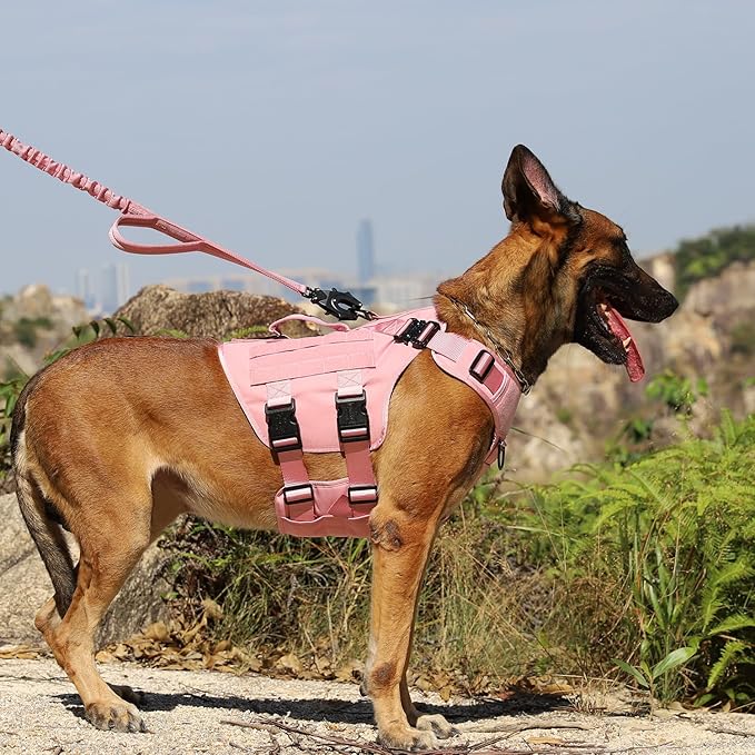 ICEFANG GN3 Tactical Dog Harness for Large Dogs, 6X Quick-Release Buckles,Dog Molle Vest with Handle,3/4 Body, Hook and Loop Panel for ID Patch,No Pulling Front Clip (L (Chest :28"-35"), Pink)