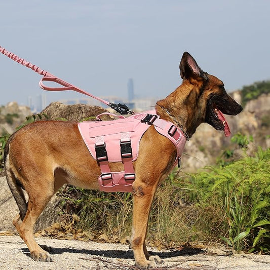 ICEFANG GN3 Tactical Dog Harness for Large Dogs, 6X Quick-Release Buckles,Dog Molle Vest with Handle,3/4 Body, Hook and Loop Panel for ID Patch,No Pulling Front Clip (L (Chest :28"-35"), Pink)