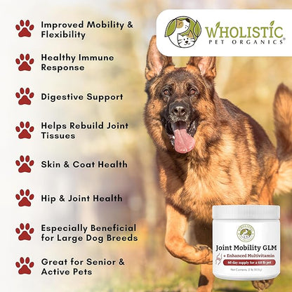 Wholistic Pet Organics - Hip and Joint Supplement for Dogs & Cats - Cat & Dog Joint Supplement - Green Lipped Mussels, Glucosamine, Chondroitin for Dogs & Cat Mobility Support - 2 Lb - 90 Scoops