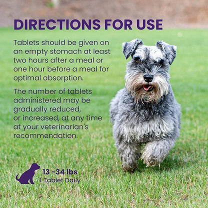 Nutramax Laboratories Denamarin Liver Health Supplement for Medium Dogs - With S-Adenosylmethionine (SAMe) and Silybin, 30 Tablets