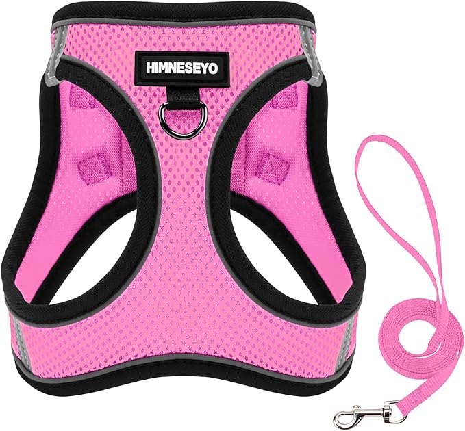 Dog Harness and Leash Set, Dog Harness for Dogs No Pull, No-Chock Step-in Reflective Breathable Lightweight Easy Walk Vest Harnesses with Safety Buckle for Small Medium Dogs, Cats (Pink, XXS)
