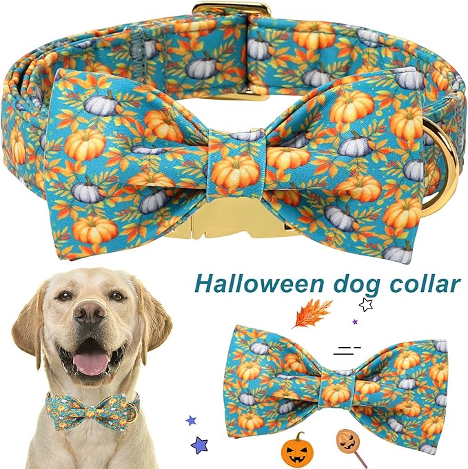 ARING PET Fall Dog Collar with Bow, Halloween Pumpkin Cute Pet Collars with Quick Release Buckle for Puppy Small Medium Large Girl Boy Dogs-M