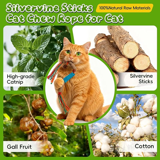 GBSYU Silvervine Sticks for Cats & Cat Chew Rope Toy with Refillable Natural Catnip Bag for Teeth Cleaning, Interactive Cat Catnip Toys for Indoor Cats, Kitten Teething Toys for All Breeds (8Pcs)