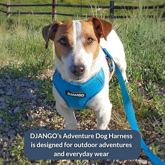 DJANGO Adventure Dog Harness - Stylish & Durable Medium Dog Harness for Outdoor Adventures and Everyday Wear - Pacific Blue Neoprene Adjustable Harness for Dogs with Reflective Piping, Brass D-Ring