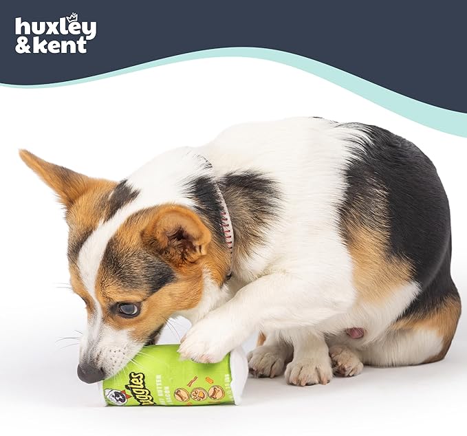 Huxley & Kent Funny Dog Toy w/Squeaker – Power Plush Squeaky Dog Toys for Small Dogs – Durable Small Stuffed Animal for Indoor Play & Fetch - Tiny Tuff Puggles Can