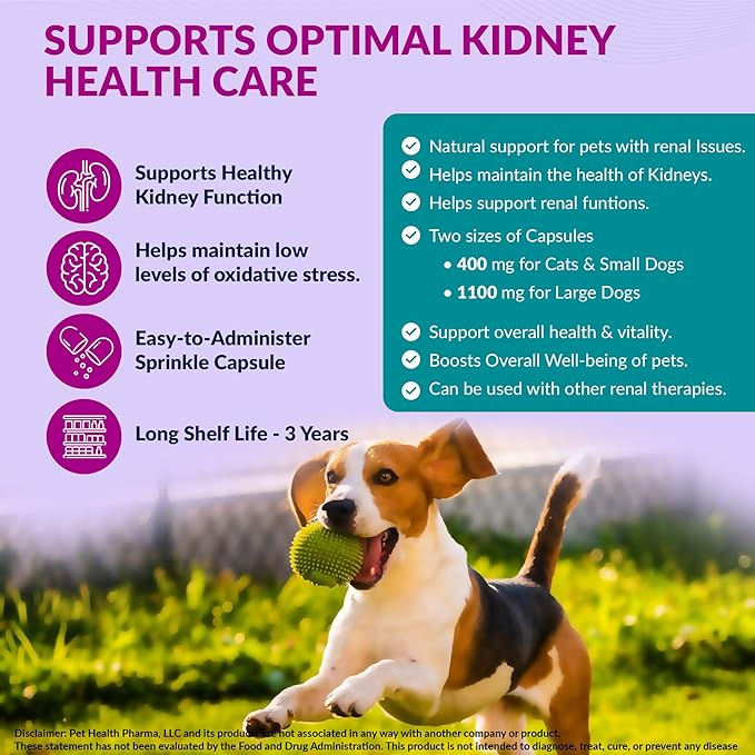 Aminodyl™ Kidney Support Supplement 400mg for Cats & Small Dogs - Supports Natural Kidney Function with Amino Vastly Promotes Health, Wellbeing & Vitality of Kidneys - 120 Sprinkle Capsules. U.S.A