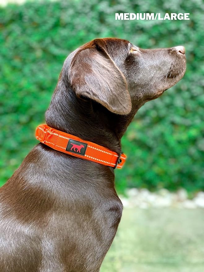 Tuff Pupper Heavy Duty Dog Collar with Handle | Ballistic Nylon Heavy Duty Collar | Padded Reflective Dog Collar with Adjustable Stainless Steel Hardware | Convenient Sizing for All Breeds