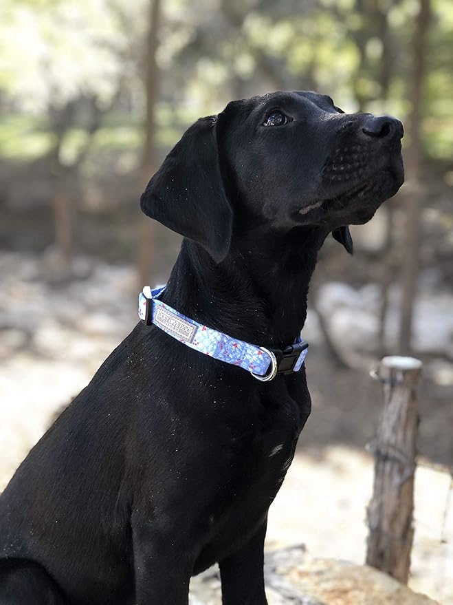 Lucky Love Dog Dog Collar, Leash Set Large, Premium, Cute and Adjustable Collars for Male and Female Dogs, Winterblue Combo, Large