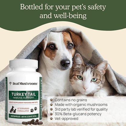 Real Mushrooms Turkey Tail Capsules for Pets –Cat Probiotics & Dog Vitamins – Organic Mushroom Supplement for Dogs & Cats – Supports Daily Balance & Well-Being Non-GMO, 90 ct