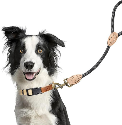 Mile High Life Short Dog Leash, Short Leash for Large Dogs, Reflective Dog Lead with w Leather Tip, Heavy Duty Leash for Large and Medium Dogs Training and Walking(Black, 18 Inch)