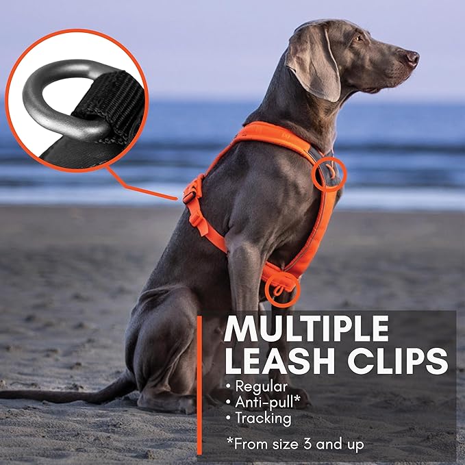 Non-stop dogwear Line Harness 5.0, Padded Dog Harness for Medium Dogs, Made for Hiking, Sport and Everyday Active Life with 3 Leash Clips, Reflectors and Ergonomic Fit, Orange, Size 4
