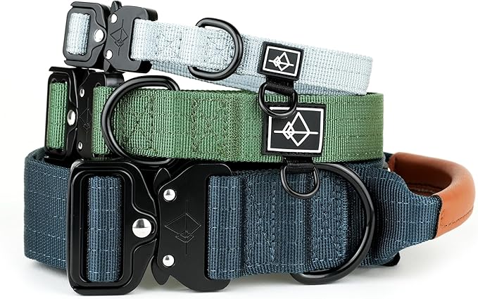 Made to ROAM Premium Explorer Control Collar - Adjustable Heavy Duty Nylon Dog Collar with Quick-Release Metal Buckle and Handle (Florida Seaside, Control Size 4)