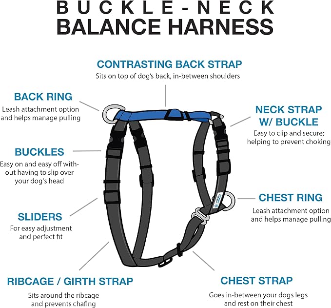Blue-9 Buckle-Neck Balance Harness, Fully Customizable Fit No-Pull Harness, Ideal for Dog Training and Obedience, Made in The USA, Sky Blue, X-Small