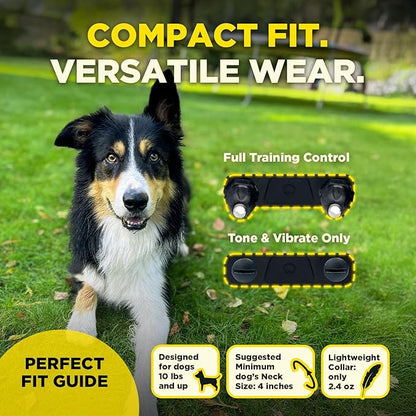 Dogtra 200iQ Remote Training E Collar – 100 Levels, Tone, Vibration, 1/2 Mile Range – Compact, Waterproof, One-Handed Control for Dogs 10 lbs+ – Lightweight Design for Daily Training – Organic Stone