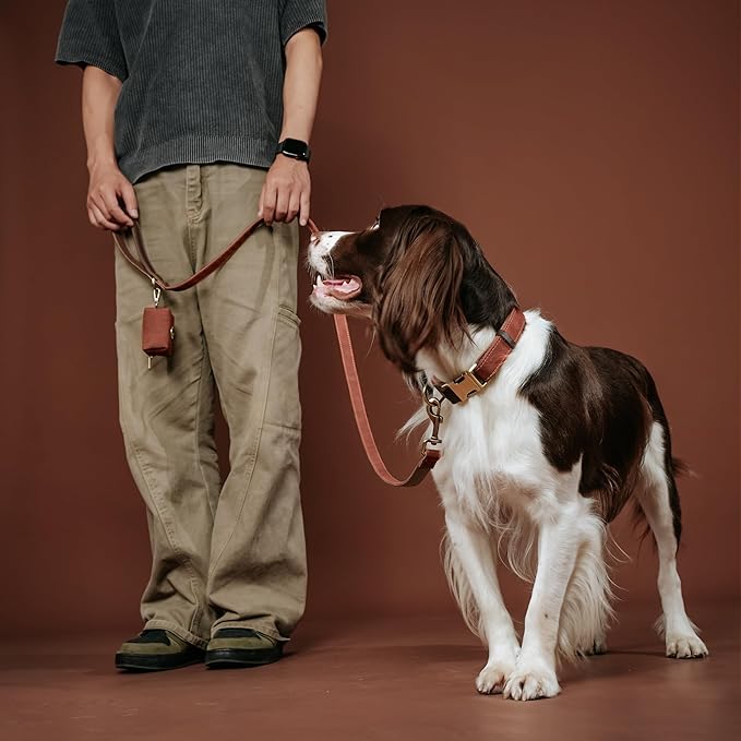 Didog Soft PU Leather Dog Collar for Large Dogs,Classic Adjustable Dog Collars with Quick Release Metal Buckle,Easy Clean and Comfortable with Nylon Lining,Reddish Brown,L Neck 16-23"