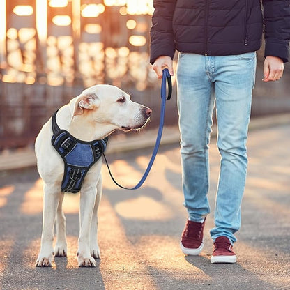 BUMBIN Dog Harness for Large Dogs, No Pull Adjustable No Choke Pet Vest with Dog Leash Fit Smart Reflective Pet Walking Harness for Training Easy Control Soft Handle Denim Blue L