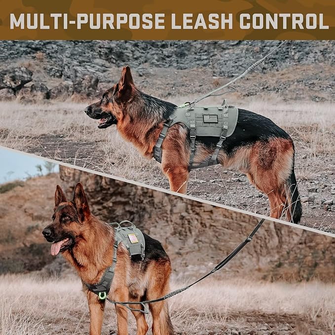 Forestpaw Tactical Dog Harness for Large Dogs,Tactical Dog Collar with Bungee Leash Set,No Pull Military Dog Harness for Walking Training,Adjustable for Medium Large Dogs,Gray,Chest 19.5-41.5"