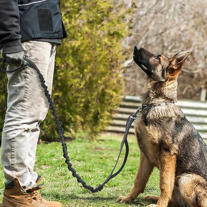 rabbitgoo Tactical Bungee Dog Leash with Shock Absorption, Military Training Leash with 2 Padded Control Handles for Medium Large Dogs, 6FT, Black