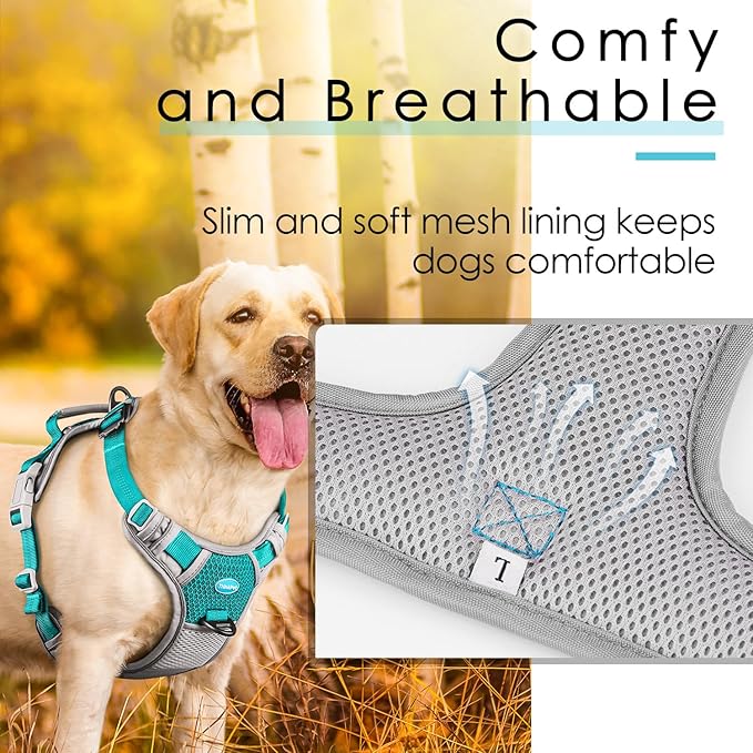 ThinkPet No Pull Harness Breathable Sport Vest with Handle-Dog Harnesses Reflective Adjustable for Medium Large Dogs