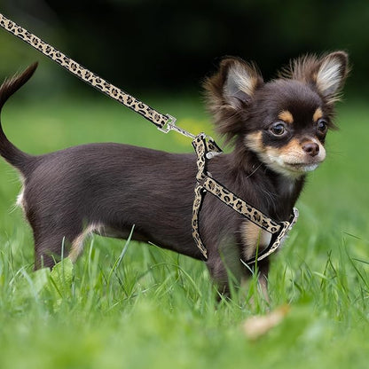 Mile High Life Leopard Dog Harness Collar Leash Set, Adjustable No Pull Dog Halter Harness for Small Breed Dogs, Easy Control for Training Walking (Black, M Chest 15"-21", Neck 13"-17")