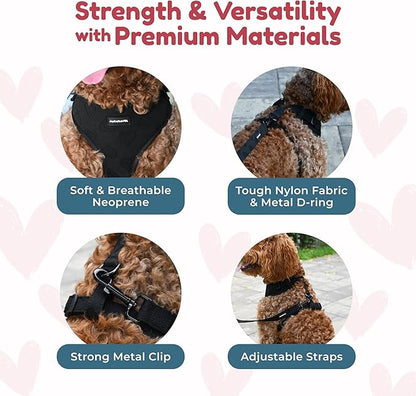 No-Pull, No-Choke Dog Harness & Leash Set – Stylish & Fun – Lightweight, Breathable Neoprene – Unique Heart Pattern – Adjustable for Extra Small to Medium Dogs (Harness Leash Set-Black, X-Small)