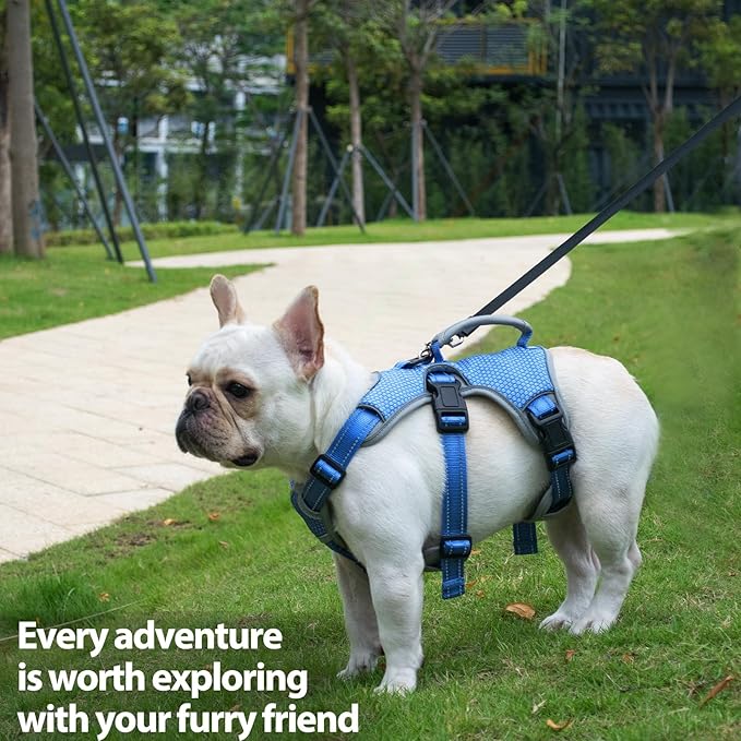 Huntboo Escape Proof Dog Harness, Escape Artist Harness, Reflective Dog Harness with Handle, Durable,Adjustable Vest for Small Medium Large Dogs Walking, Training, and Running Gear(Sea Blue,S)
