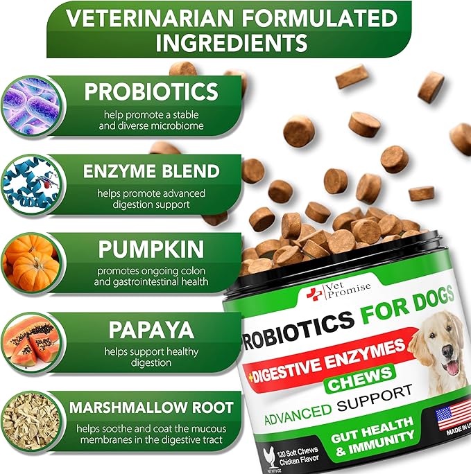 Probiotics for Dogs - Dog Probiotics and Digestive Enzymes for Gut Health, Itchy Skin, Allergies, Immunity, Yeast Balance - Prebiotics - Reduce Diarrhea, Gas - 120 Probiotic Chews Supplement for Dogs