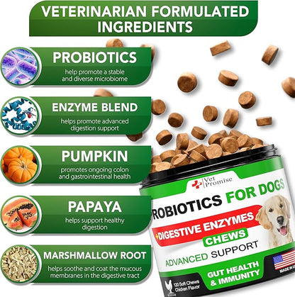Probiotics for Dogs - Dog Probiotics and Digestive Enzymes for Gut Health, Itchy Skin, Allergies, Immunity, Yeast Balance - Prebiotics - Reduce Diarrhea, Gas - 120 Probiotic Chews Supplement for Dogs