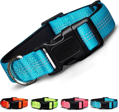 BLAZIN Reflective Dog Collar - Vibrant Color for Day and Night - Soft Neoprene Padded Collar - Adjustable Sizing -'Color Me Happy!' Dog Collars - Brighter Means Safer - (Small, Blue)