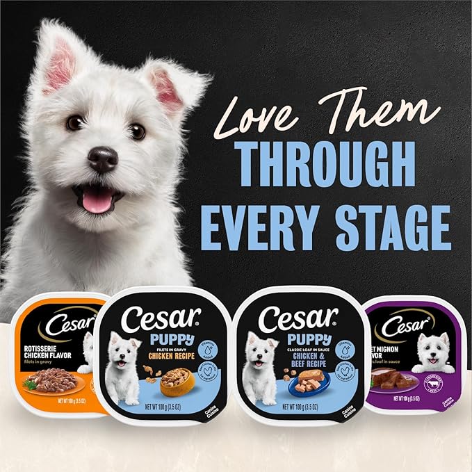 Cesar Puppy Classic Loaf in Sauce Wet Dog Food, Chicken & Beef Recipe, 3.5 oz. Easy Peel Trays, Dog Food Toppers, 24 Count