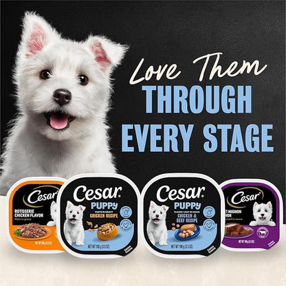 Cesar Puppy Classic Loaf in Sauce Wet Dog Food, Chicken & Beef Recipe, 3.5 oz. Easy Peel Trays, Dog Food Toppers, 24 Count