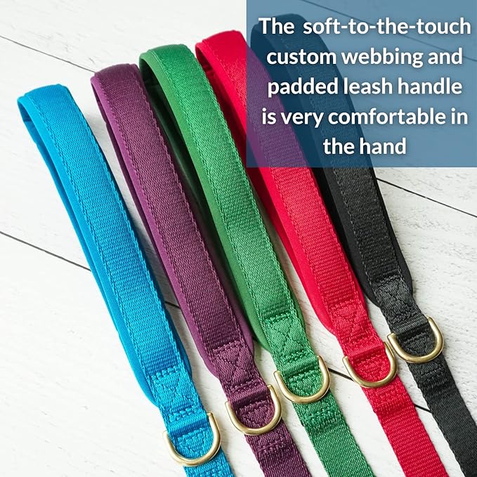 DJANGO Adventure Dog Leash – Strong, Comfortable, and Stylish Dog Leash with Solid Brass Hardware and Padded Handle - Designed for Outdoor Adventures and Everyday Use (Pacific Blue)