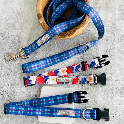 Lucky Love Dog Blue and Violet Plaid Dog Leash - Comfy & Soft & Cute for Boy and Girl Dogs - Small, Scotty