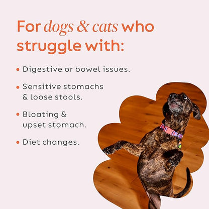 Diggin' Your Dog – Firm Up Pumpkin for Dogs & Cats – Fiber Supplement with Pumpkin & Apple Fiber for Cat & Dog Digestive Support – Made in USA, 4 oz