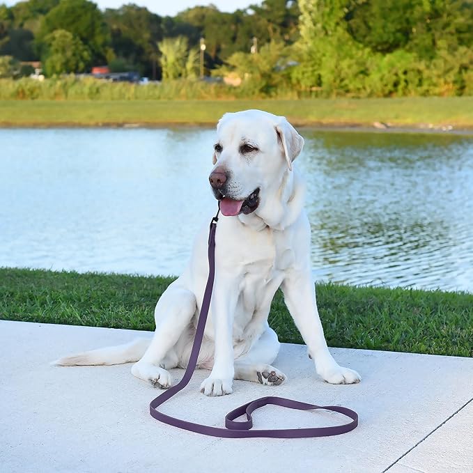 Dogline Biothane Waterproof Dog Leash Strong Coated Nylon Webbing with Black Hardware Odor-Proof Easy to Clean High Performance for Small or Large Dogs Made in USA 4 or 6 ft Lead, Violet Purple