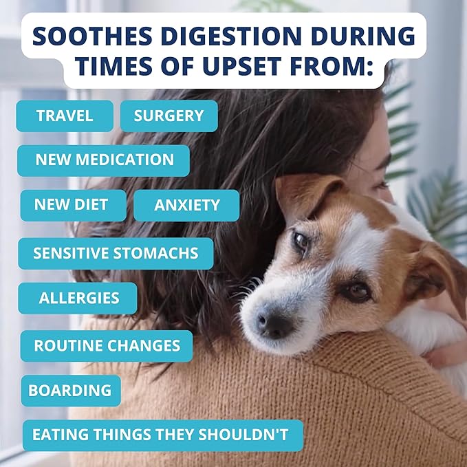 Under the Weather Bland Diet for Dogs | Easy to Digest for Sick Dogs | Always Be Ready | Contains Electrolytes - All Natural Freeze Dried 100% Human Grade Meats | 1 Pack - Chicken, Rice - 6oz