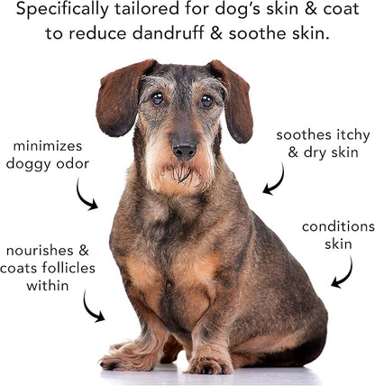 Pride and Groom The Sensitive One | Dog Grooming Shampoo for Puppies and Dogs with Itchy, Dry Skin| Tearless All Natural Body Wash with Essential Oils to Soothe Skin and Reduce Dandruff – 128oz