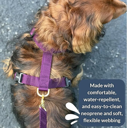 DJANGO Adventure Dog Harness - Stylish, and Durable Small Dog Harness for Outdoor Adventures and Everyday Wear - Plum Purple Neoprene Adjustable Harness for Dogs with Reflective Piping, Brass D-Ring