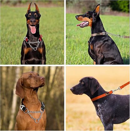 Plutus Pet Martingale Dog Collar with Stainless Steel Chain and Reflective Nylon, Adjustable No Pull Training Collar, for Small Medium, and Large Dogs, Ranger Green, S