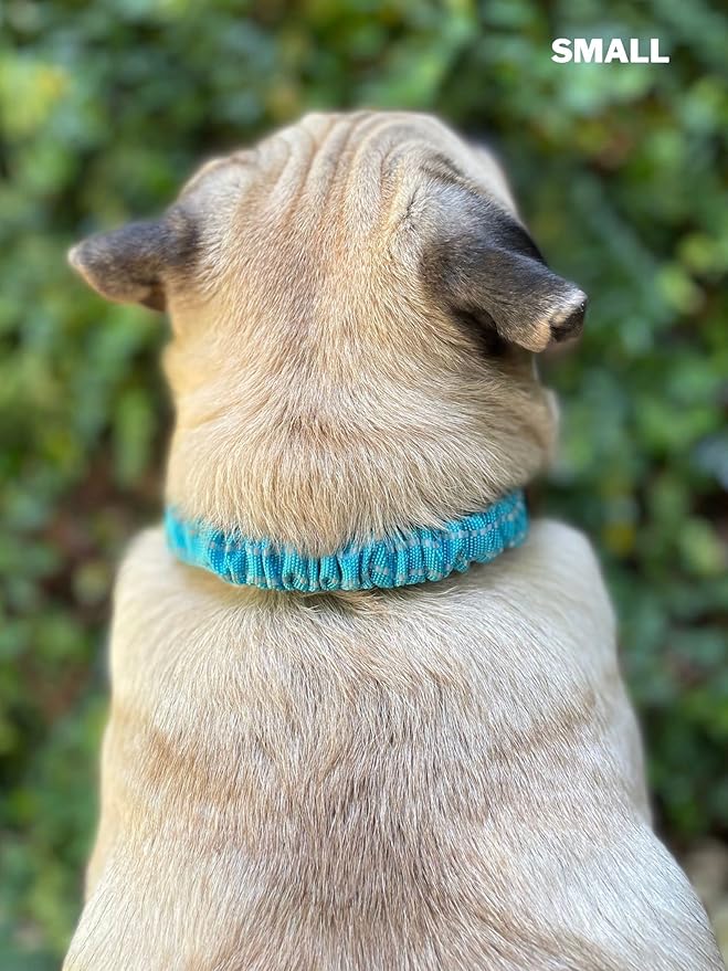 Tuff Pupper Heavy Duty Dog Collar with Handle | Ballistic Nylon Heavy Duty Collar | Padded Reflective Dog Collar with Adjustable Stainless Steel Hardware | Convenient Sizing for All Breeds