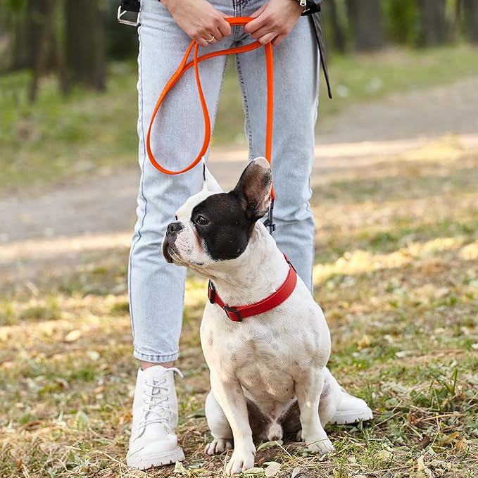 Dogline Biothane Waterproof Dog Leash Strong Coated Nylon Webbing with Black Hardware Odor-Proof Easy to Clean High Performance for Small or Large Dogs Made in USA 4 or 6 ft Lead, Hunter Orange