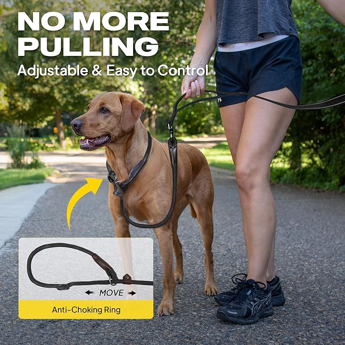 Fida 2-in-1 Slip Leads for Dogs with Double Handles, Tangle Free Leash for Large Dogs That Pull, Heavy Duty No Pull Training Leash Reflective Soft Padded for Large & Medium Breed(6ft,Black)