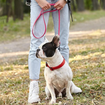 Dogline Biothane Waterproof Dog Leash Strong Coated Nylon Webbing with Black Hardware Odor-Proof Easy to Clean High Performance for Small or Large Dogs Made in USA 2 ft Lead, Passionfruit Pink