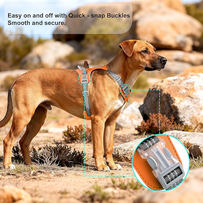 ApakBak No Pull Dog Harness – Adjustable Reflective Nylon Vest for Small Medium Large Dogs, Escape Proof Training Harness with Leather Control Handle, Lightweight Aluminum Hardware (Orange, M)